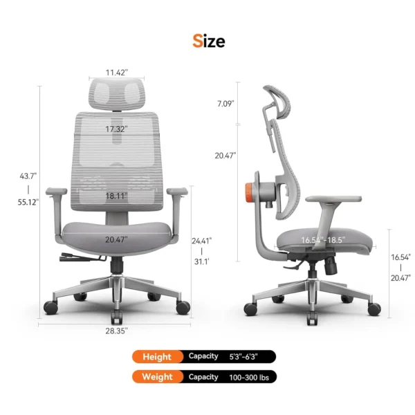 Office Chair with Lumbar Support